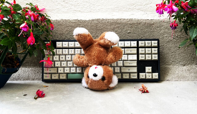 A lovely teddy bear thrashed in the backyard together with a keyboard